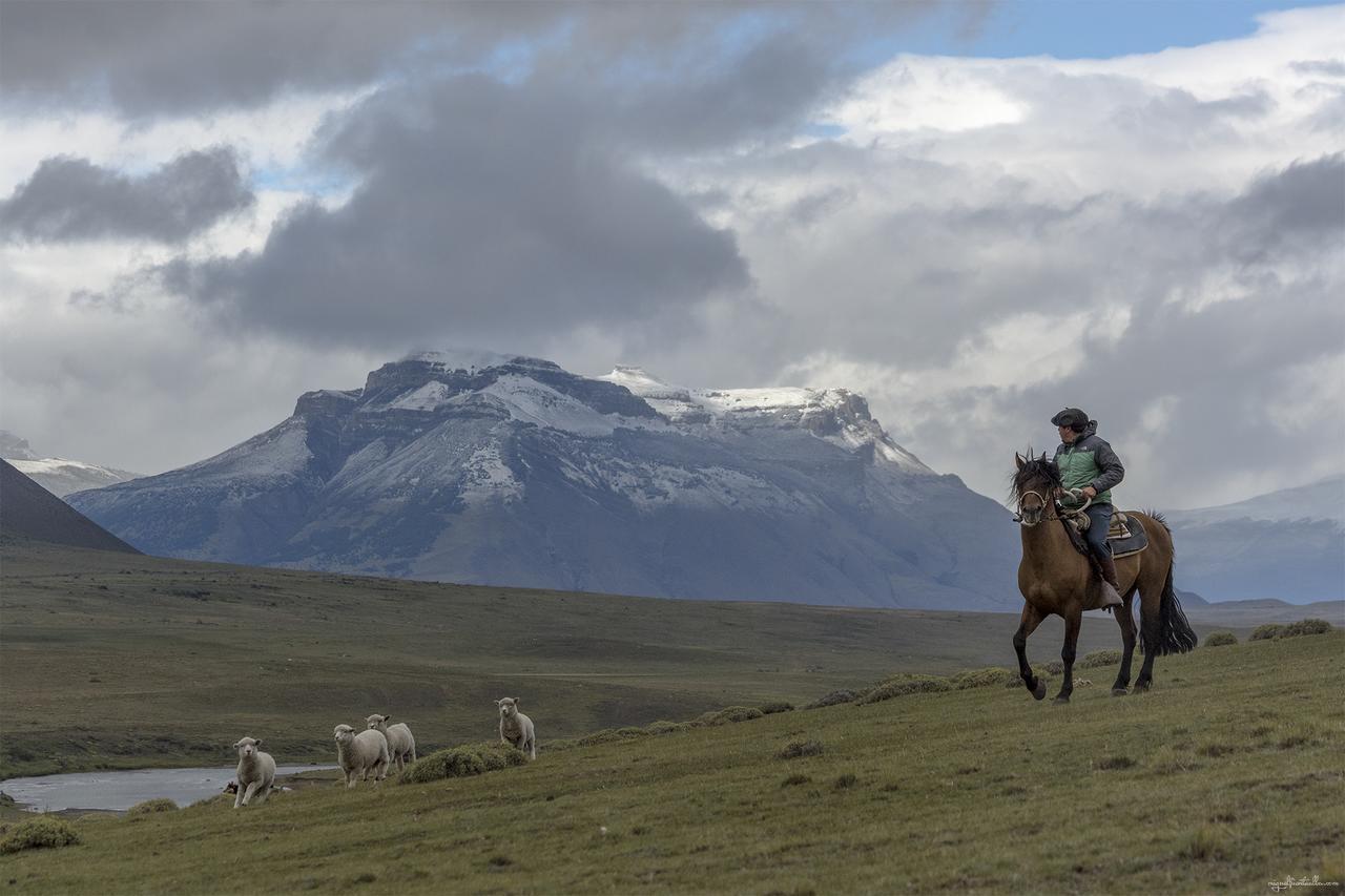 Estancia Dos Elianas Torres del Paine National Park Eksteriør billede