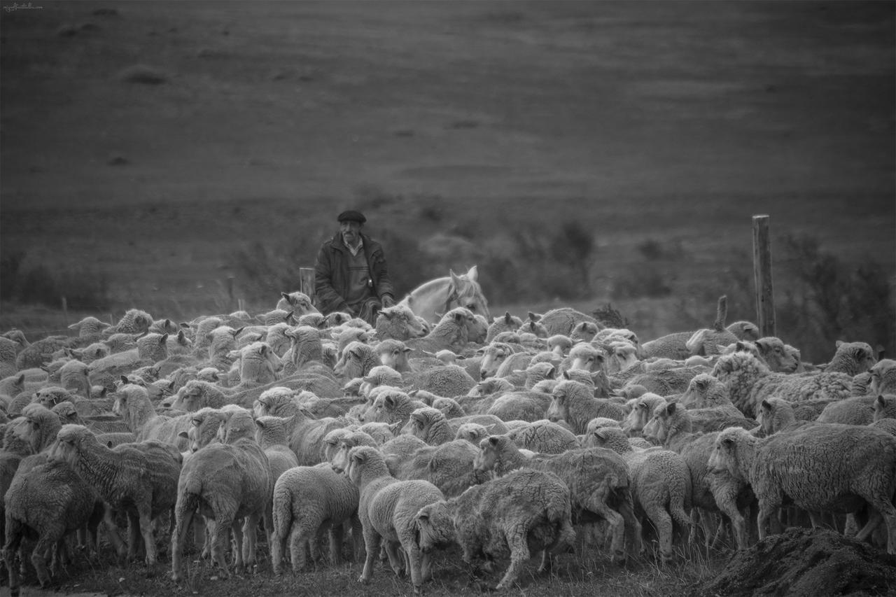 Estancia Dos Elianas Torres del Paine National Park Eksteriør billede